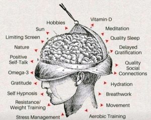 Read more about the article Taking Care Of Your Brain — @Mental Health