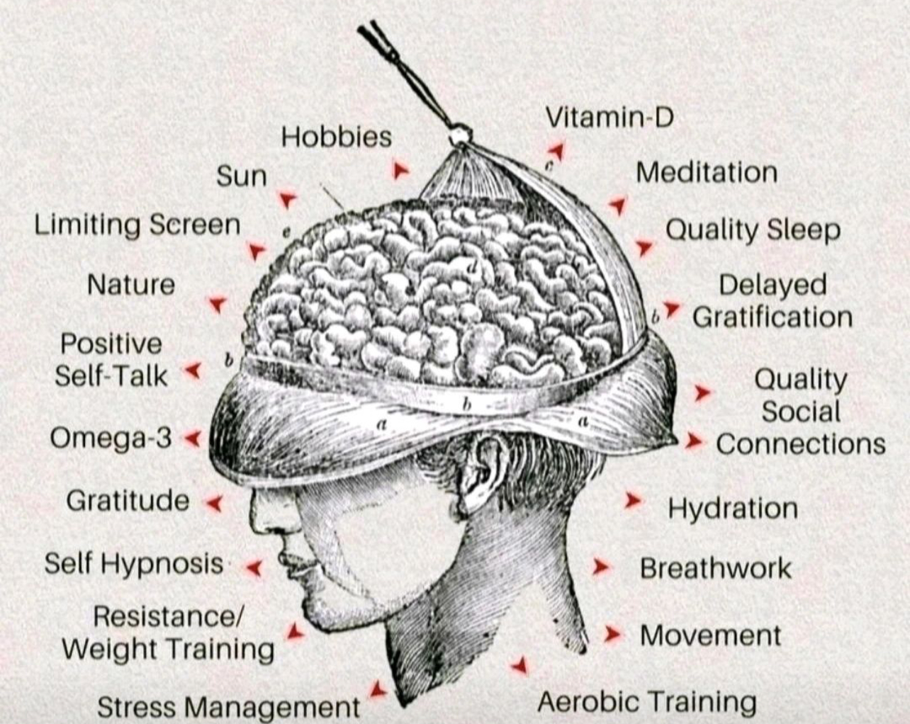 Read more about the article Taking Care Of Your Brain — @Mental Health