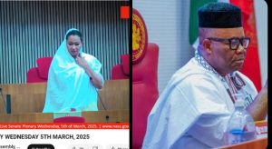 Read more about the article Letter to the Nigerian Senate — Oby Ezekwesili
