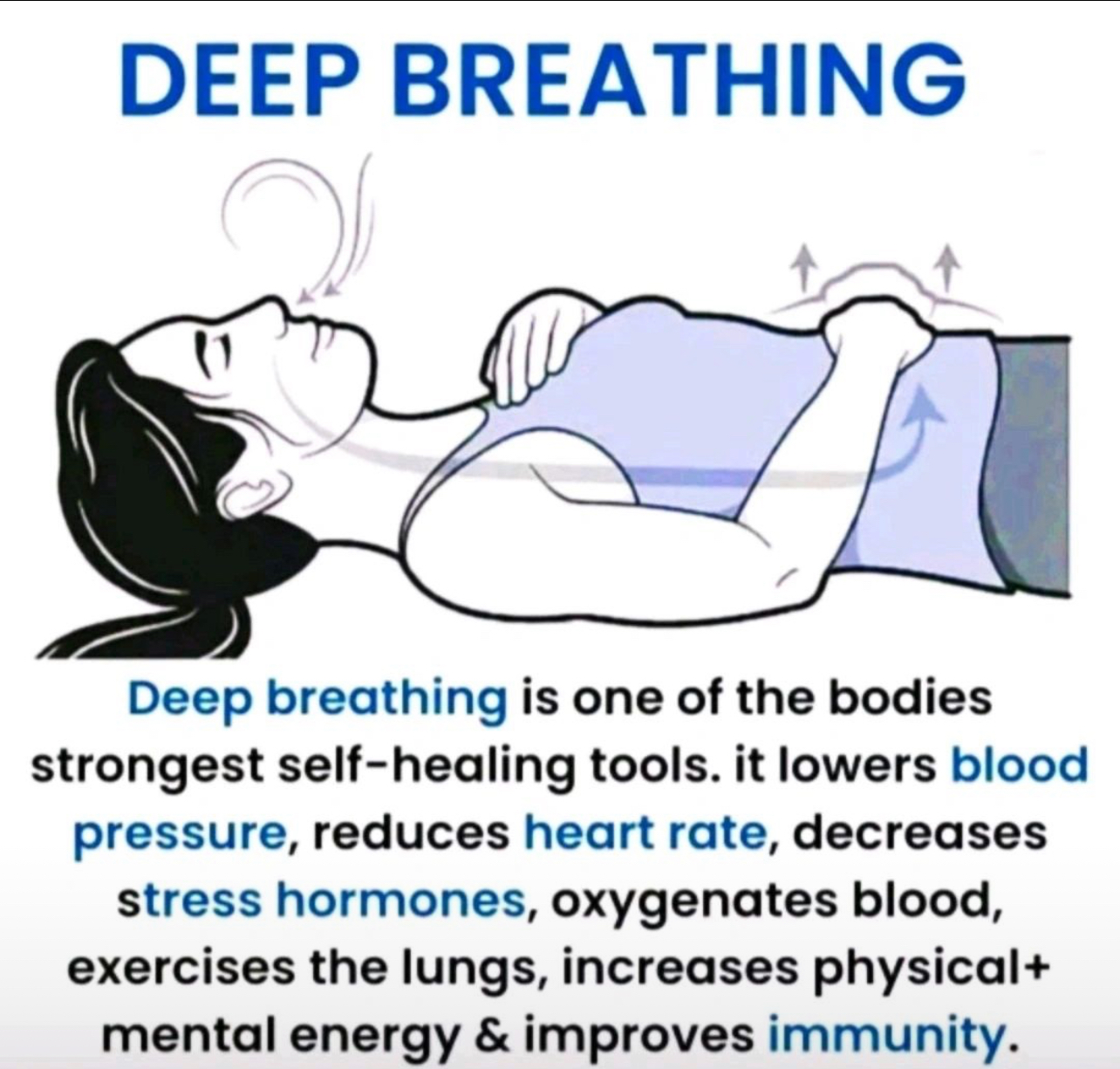 Read more about the article If you want to conquer the anxiety of life, live in the moment, live in the breath. Deep breathing is the bridge between the conscious and the unconscious mind. – Health First