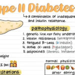 🔬 Understanding Type II Diabetes: A Growing Global Challenge — Rana Medhioub (LinkedIn)
