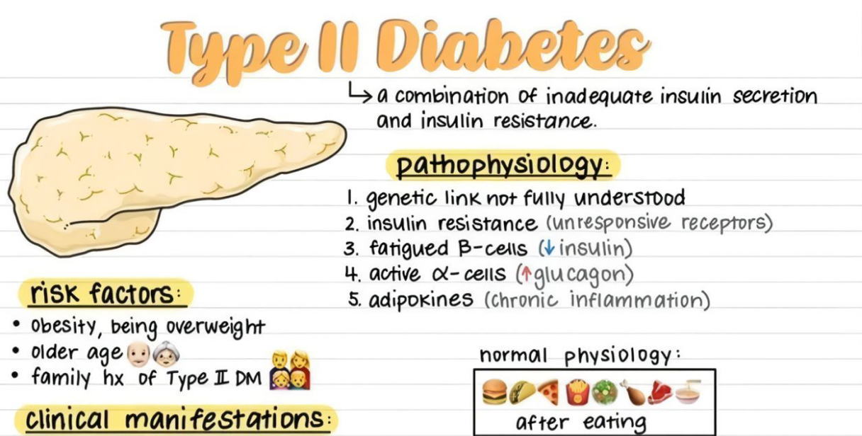 Read more about the article 🔬 Understanding Type II Diabetes: A Growing Global Challenge — Rana Medhioub (LinkedIn)