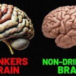 YOU’VE BEEN TOLD SO MANY LIES ABOUT ALCOHOL! — By @Choji_ES