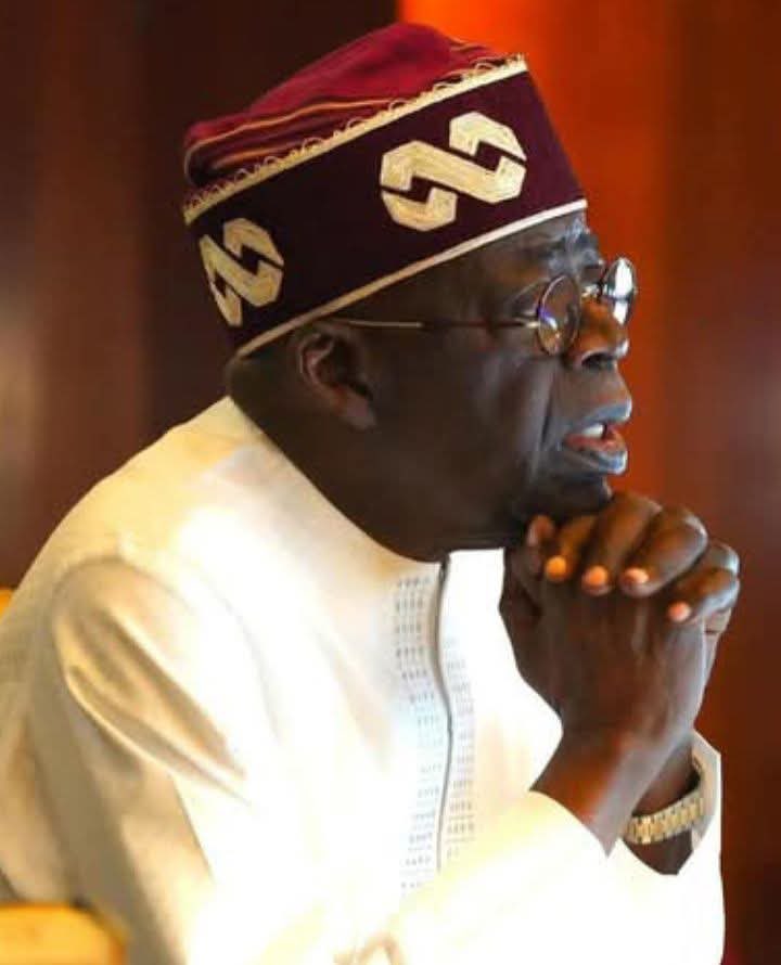 Read more about the article Full list of ambassadors-designate appointed by President Tinubu:
