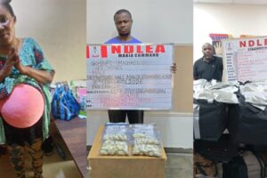 Read more about the article Just In: NDLEA Stops Woman Smuggling Drugs in Fake Pregnancy While Ivorian Swallows 82 Cocaine Packs at Kano Airport