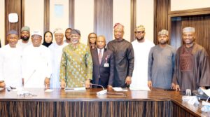 Read more about the article Tinubu Constitutes Committee to Establish GAMCO for Power Grid Reform