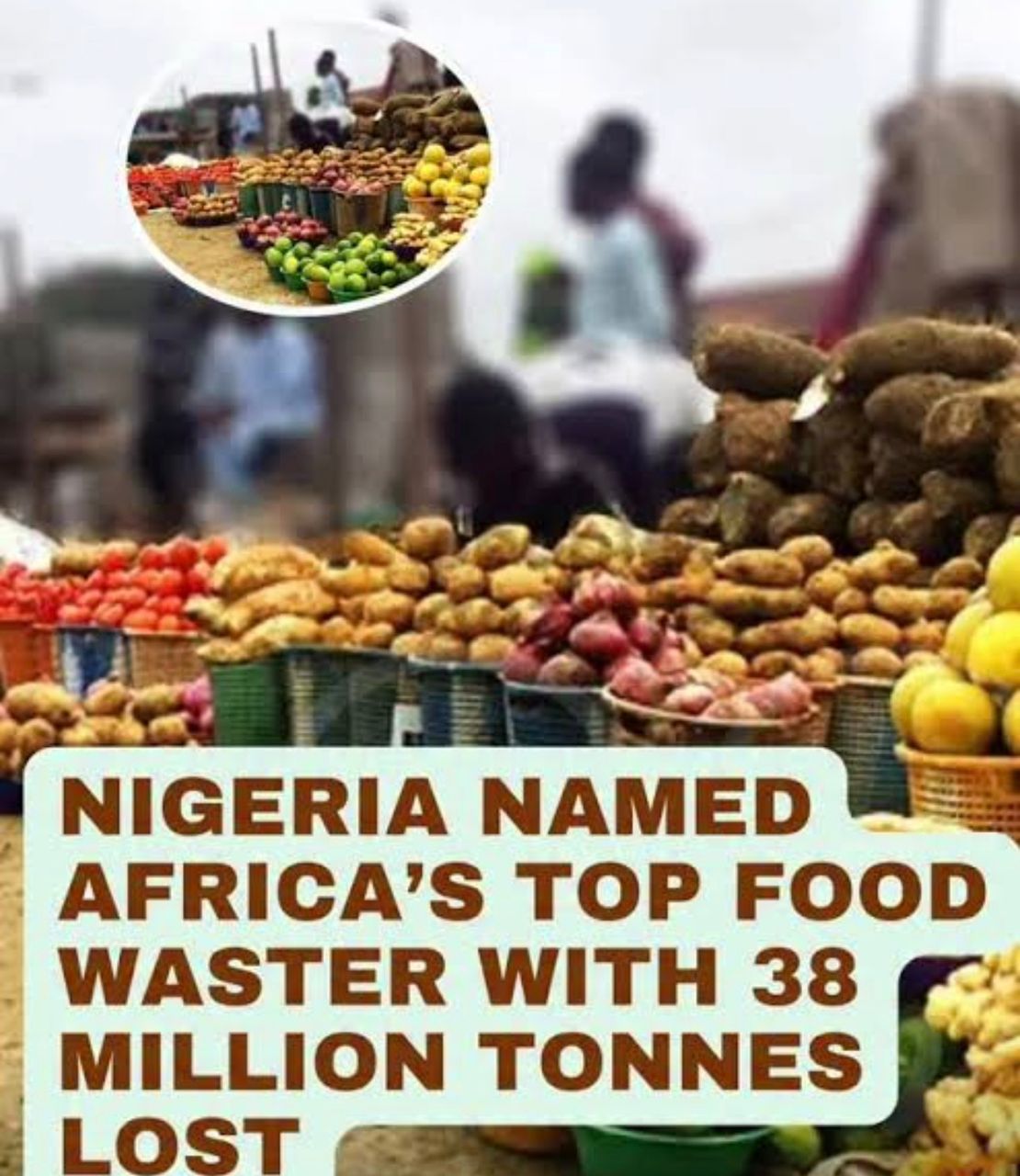 Read more about the article Nigeria Wastes 38 Million Tonnes of Food Annually, Highest in Africa, Says EU