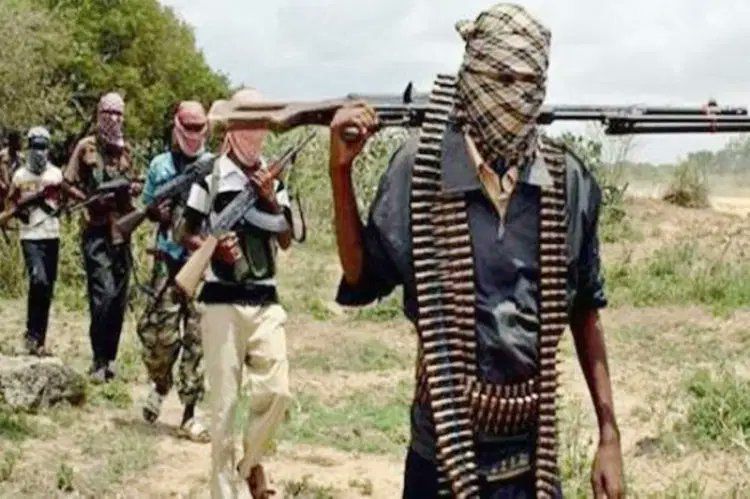 Read more about the article Gunmen Abduct 14 UTME Candidates in Benue