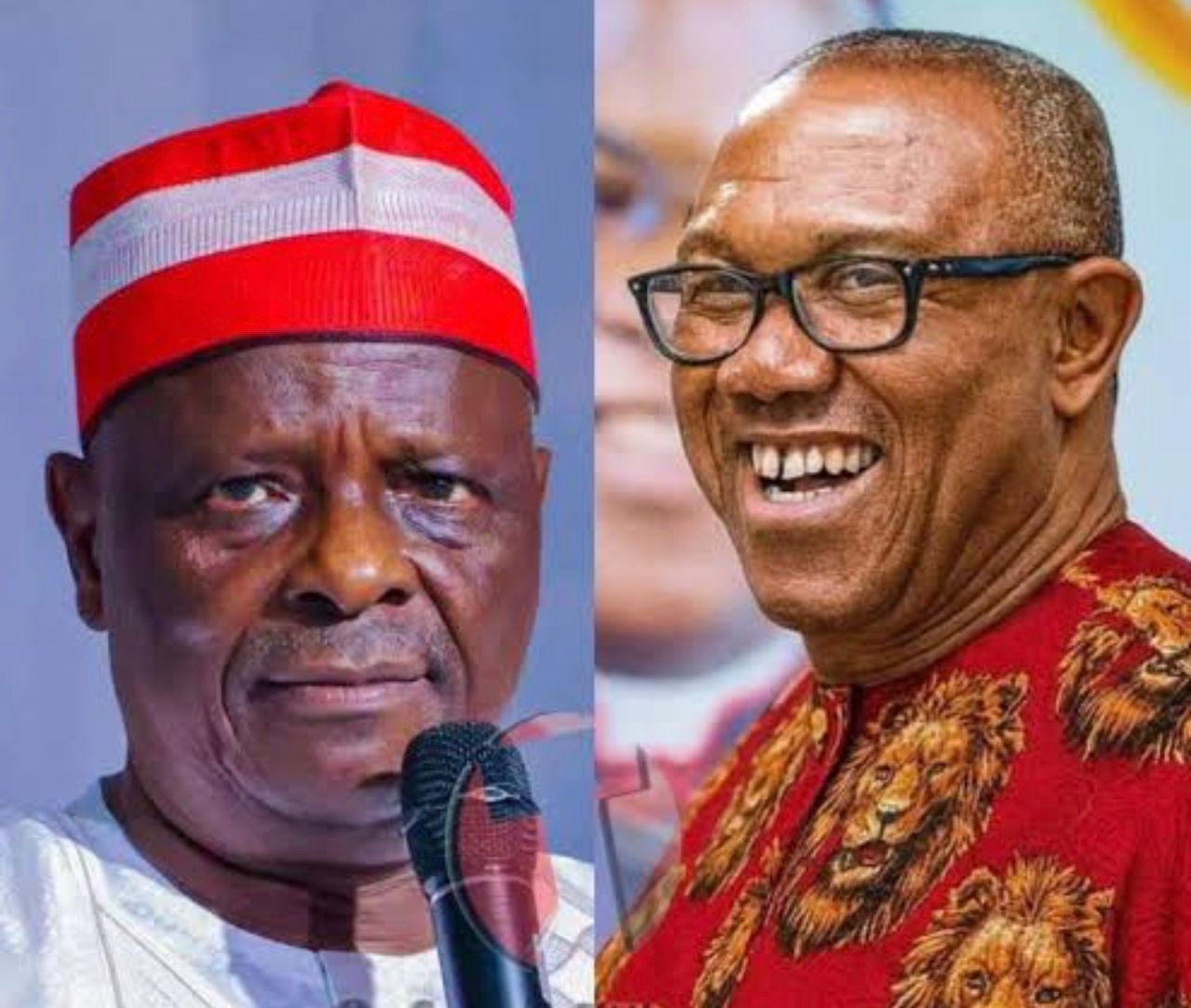 You are currently viewing Opposition Coalition Eyes Obi Kwankwaso Ticket