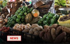 Read more about the article Nigerian Farmers Decry High Food Import Costs and Demand Stronger Rural Protection