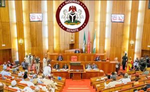 Read more about the article Nigeria Senate Set to Deliberate State Police Bill This Week
