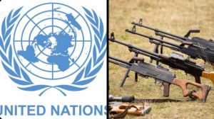 Read more about the article UN Weapons from Libyan Conflict Fuel Extremism in Nigeria