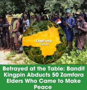 Read more about the article ICYMI: Zamfara Elders Kidnapped at Peace Deal Meeting